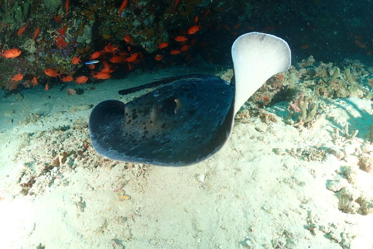 Coco Villa,Ukulhas المظهر الخارجي الصورة