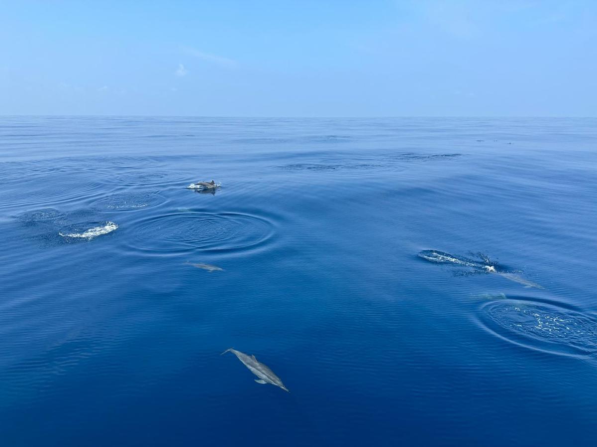 Coco Villa,Ukulhas المظهر الخارجي الصورة